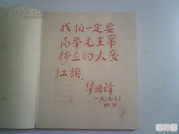 大巧娘和大庆外篇章：深入理解其文化内涵与艺术价值的多维视角分析