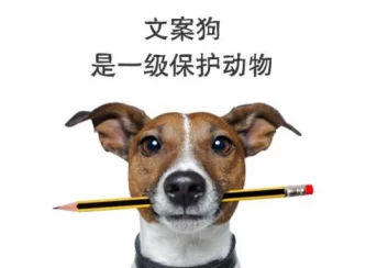 ZOOMSERVO兽狗剧情解析：跌宕起伏，扣人心弦的精彩故事