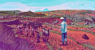 可可西里大但人文艺术的深刻理解与其独特魅力的结合分析