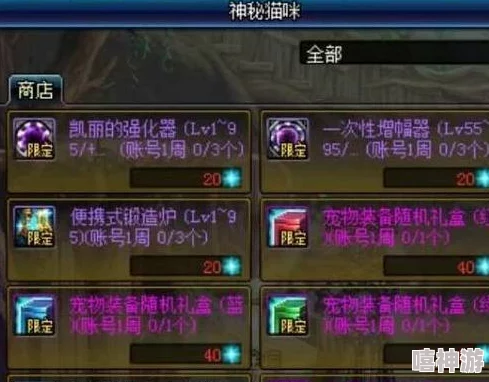 DNF游戏中：宠物与装备哪个对角色提升效果更佳探讨