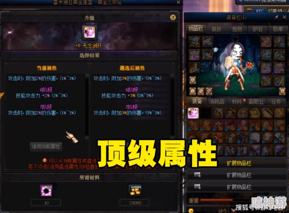 DNF游戏中：宠物与装备哪个对角色提升效果更佳探讨