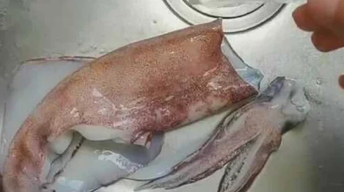 鱿鱼b25777直接进入，内幕曝光：背后真相惊人，网友热议不已