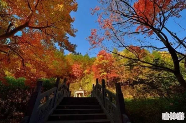 王者荣耀9周年庆草木风华系列皮肤全揭秘及亮点分析