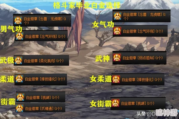 DNF2018版本中哪个气功职业更为出色及选择建议