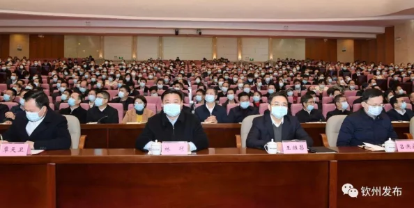 文明6新手玩家应如何选择最合适的顾问角色指导 文明6新手玩家应如何选择最合适的顾问角色指导