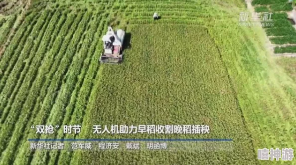 夫妻之间三十中插秧方法:分享高效的插秧技巧与经验,助力农田丰收,实现共同梦想 夫妻之间三十中插秧方法:分享高效的插秧技巧与经验,助力农田丰收,实现共同梦想