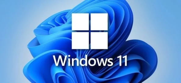 Win11 HEVC视频播放问题解决方案:如何在Windows 11上顺利观看HEVC格式的视频文件 Win11 HEVC视频播放问题解决方案:如何在Windows 11上顺利观看HEVC格式的视频文件