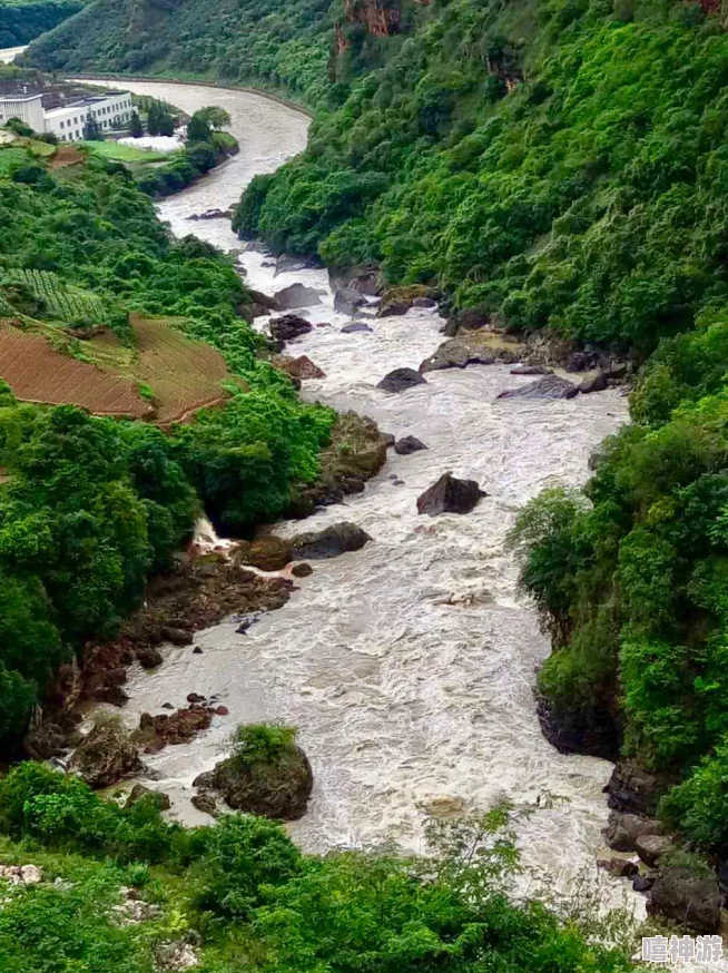 国产真人实拍女初实破，一泻千里惊心动魄绝非常态