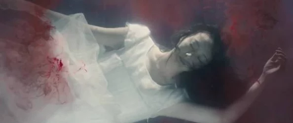 另类Ⅴideossexo高潮:探索不同文化背景下的性高潮表现与心理影响,揭示人们对性的多样化理解与体验 另类Ⅴideossexo高潮:探索不同文化背景下的性高潮表现与心理影响,揭示人们对性的多样化理解与体验