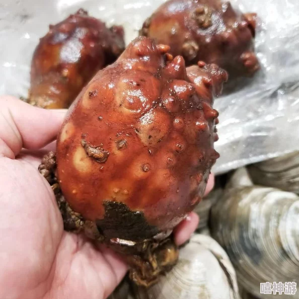 大菠萝官方官网隐藏入口：传闻游戏即将推出全新角色，玩家们热议其背后故事与技能设定！