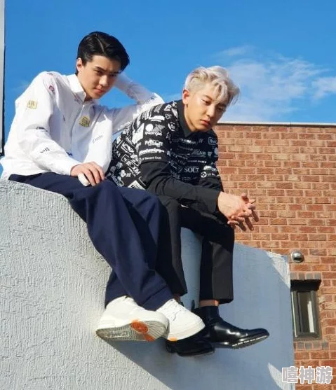 小姐姐看seventeen，分享她对这支男团的热爱与追星经历，带你走进偶像的世界和音乐魅力