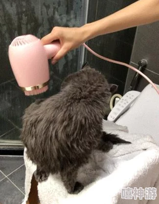 游戏指南：从新手入门到高手进阶的必备攻略秘籍