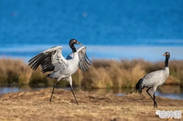 日本x x x x 18：东京新规实施，未成年人保护措施再升级，引发社会广泛关注与讨论