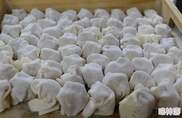 江教授要稳住肉馅小水饺视频，分享独特制作技巧与美味秘诀，让你轻松在家享受传统美食的乐趣