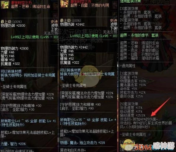 DNF游戏中哪个皮甲职业更适合玩家选择与培养详解 DNF游戏中哪个皮甲职业更适合玩家选择与培养详解