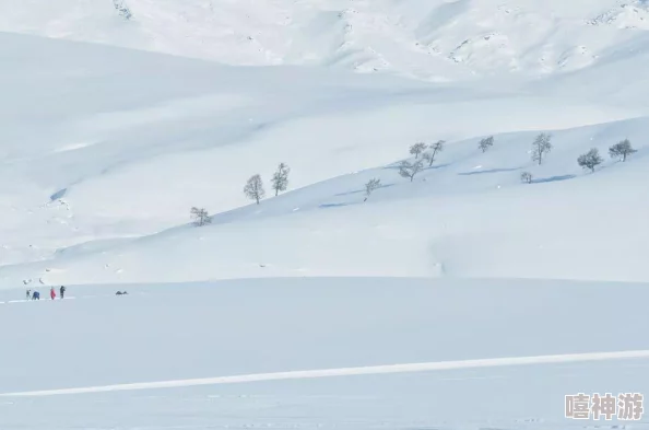 雪居之地新手玩家全面指南:初入游戏必备攻略与技巧 雪居之地新手玩家全面指南:初入游戏必备攻略与技巧
