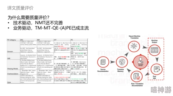 XAX MANTA UZUN HAYA 翻译：用户好评和见解提升翻译质量的深度分析与探讨