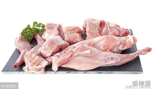 揭秘暗喻幻想中的解毒美食:烤兔肉的制作方法与技巧详解 揭秘暗喻幻想中的解毒美食:烤兔肉的制作方法与技巧详解