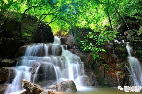 咚咚锵锵锵游戏在线观看：全新互动体验引发玩家热潮，快来参与吧！