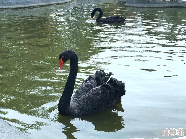 《我的世界》游戏：解锁装饰性建筑养殖场制作秘籍，打造既华丽又独特的梦幻动物乐园