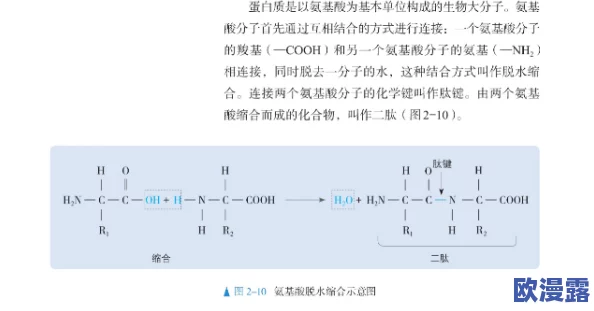 生物老师亲自向我们展示自己：深入了解细胞结构与功能的精彩互动教学体验
