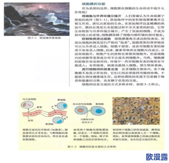 生物老师亲自向我们展示自己：深入了解细胞结构与功能的精彩互动教学体验