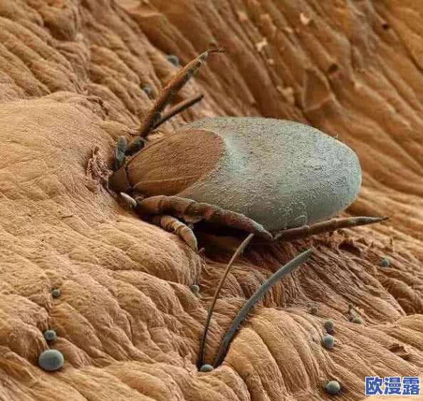 王者荣耀女生去掉小内皮肤,竟引发玩家热议,背后隐藏的故事让人惊讶不已! 王者荣耀女生去掉小内皮肤,竟引发玩家热议,背后隐藏的故事让人惊讶不已!