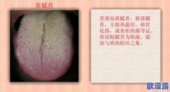 舌头一路向下游走三个人：探讨口腔健康与饮食习惯的关系，了解舌头在消化系统中的重要作用