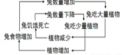 和平精英女生的母乳到底有多白?从生物学角度分析其成分与色泽变化的研究报告 和平精英女生的母乳到底有多白?从生物学角度分析其成分与色泽变化的研究报告