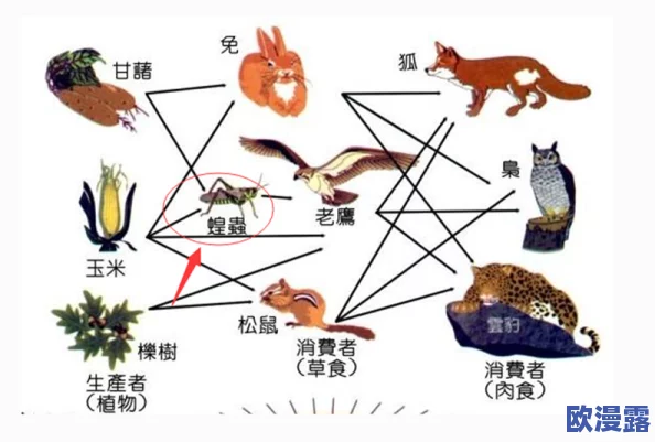 无量蝠没了:分析其生态角色消失对环境的潜在影响及保护措施的必要性 无量蝠没了:分析其生态角色消失对环境的潜在影响及保护措施的必要性