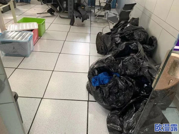 欧美尺码日本尺码专线：网友热议不同尺码标准对购物体验的影响与适应策略