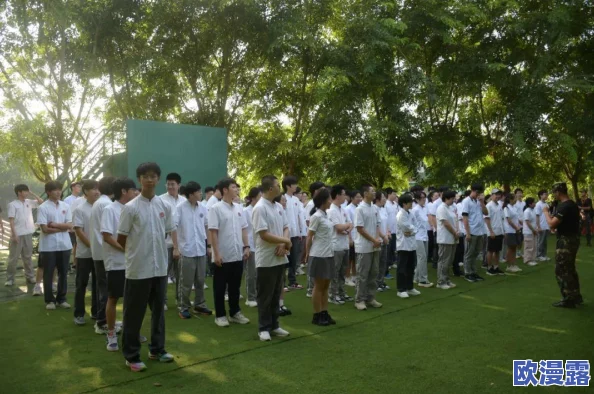 2024年值得一玩的儿童专注力训练游戏推荐及详细介绍