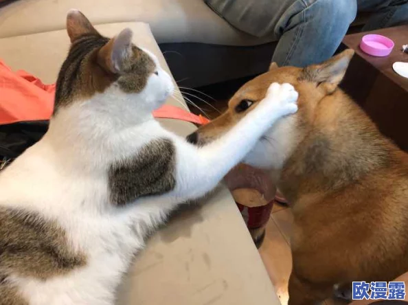 叼黑：揭示这一现象背后的文化意义与社会影响，探讨其在当代年轻人中的流行趋势及未来发展方向