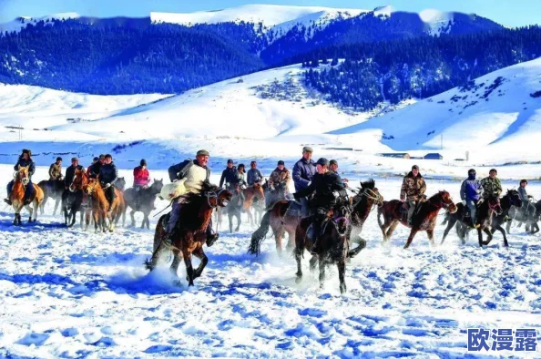 三个糙汉一个软妹组和以冬：用户评价称其剧情紧凑，角色鲜明，令人期待后续发展！