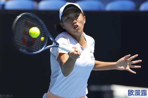 逆转裁判4攻略：全章节详细进展与解谜技巧分享，助你顺利通关游戏挑战