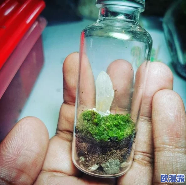 白丝喷水引发热议:网友纷纷表达看法,认为这一现象既是潮流文化的体现,也反映了社会对美的多元理解 白丝喷水引发热议:网友纷纷表达看法,认为这一现象既是潮流文化的体现,也反映了社会对美的多元理解