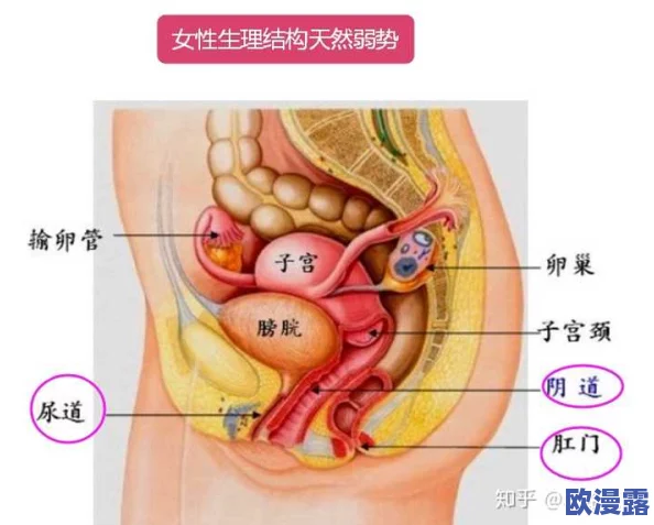 挺进她的花苞,太紧了,爽，了解女性生理结构与生理反应，掌握健康交往和沟通技巧的重要性