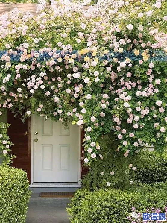 女生的小花园可以吃吗？揭秘小花园中可食用植物的种类与养护技巧，助你打造美味健康的绿色空间