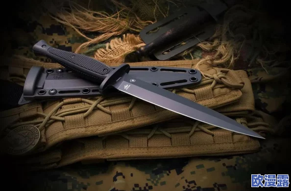 斯巴达勇士A版：解析这一经典角色扮演游戏中的战斗机制与剧情深度及其对玩家的影响