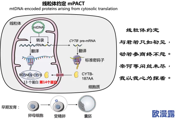 睡醒发现c1v1:解析这一现象背后的基因变异与应对策略,揭示其对健康的影响与未来研究方向 睡醒发现c1v1:解析这一现象背后的基因变异与应对策略,揭示其对健康的影响与未来研究方向
