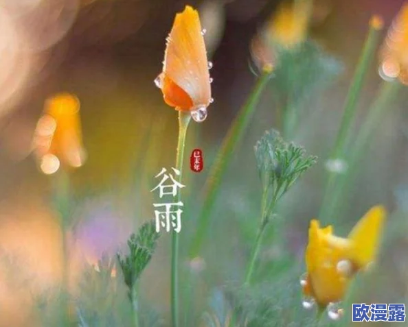 蝌蚪窝久久：网红主播疑似与粉丝私下交往，引发关注和讨论