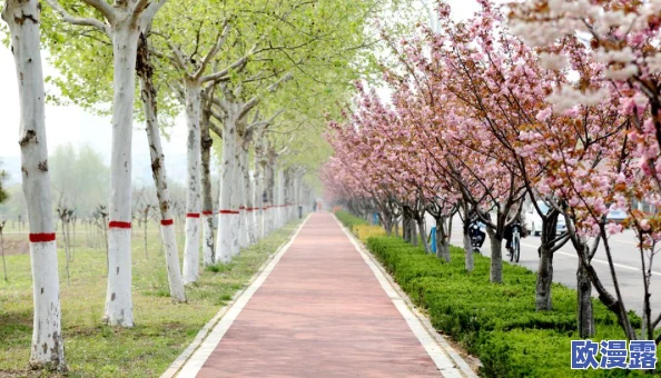 用我的手指拨动你的心弦樱花：探讨樱花在文学作品中的象征意义及其与情感表达的关系