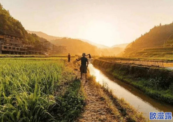 儿子耕种母亲的田地的寓意电影：传承与责任交织的人生旅程，感悟家庭与自然的深刻联系