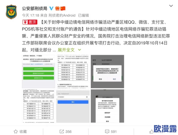 缅甸北部黑网：跨国犯罪网络的最新进展与打击行动分析