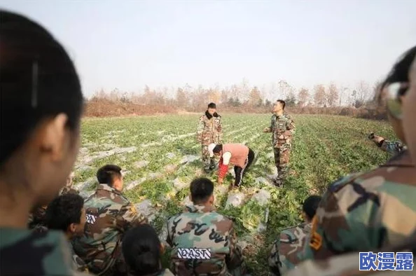 男女拔萝卜:在乡村活动中,男女共同参与体验传统农耕乐趣,感受丰收的喜悦与团结的力量 男女拔萝卜:在乡村活动中,男女共同参与体验传统农耕乐趣,感受丰收的喜悦与团结的力量