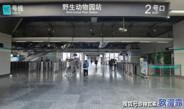 x7x7暴力槽：揭示其背后的技术原理与应用前景，带你深入了解这一创新产品的独特魅力