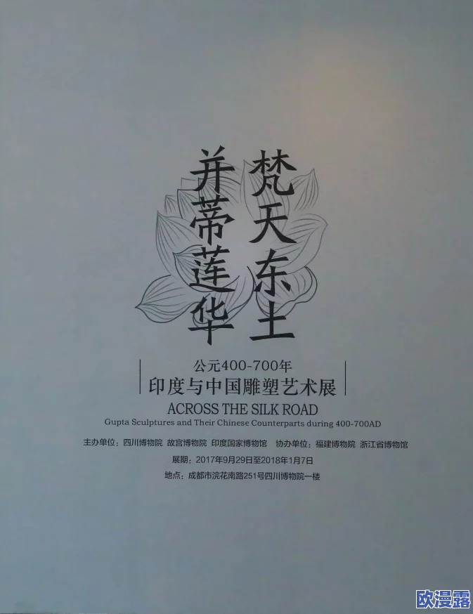 印度毛茸茸姓BBBBB：深入了解这个独特姓氏的起源、文化背景及其在印度社会中的影响力