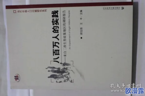 印度毛茸茸姓BBBBB：深入了解这个独特姓氏的起源、文化背景及其在印度社会中的影响力