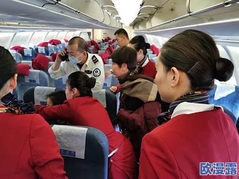 无需王子援手，公主们独立谱写神圣之门下的辉煌篇章