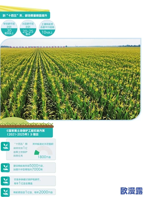 黑土的脚法：探讨传统技艺在现代农业中的应用与发展路径研究